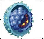 ��ֳ����������ԭ������Щ