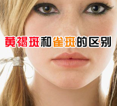 �ƺְߺ�ȸ�ߵ�����