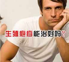 ��ֳ�������κ���