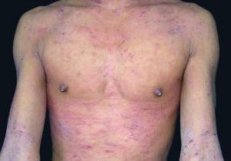 ������ô�죿