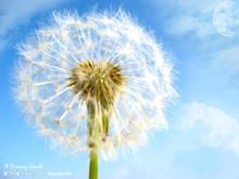 ʪ��Ļ�������