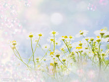 ʪ��֢״����������