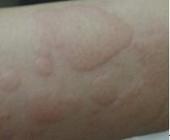 ݡ�����Σ�����