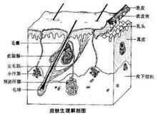 ר��������ѯ