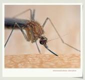 �ó涣ҧҲ�ᴫ��ţƤѢ