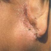 ����ʪ��