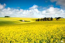 ţƤѢ��Ԥ��ԭ���Ԥ����ʩ