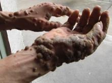 Ѱ�������Ӳ���Σ������