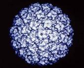 ������Ⱦ������ƽ��