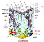 �ƺְ߲���ͼ