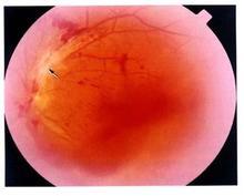 ��״����ķ����Ӻζ���