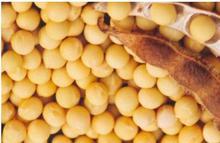 ��λ����ѷ�