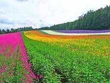 �Ӵ���Ƥ�׵�Σ������Щ