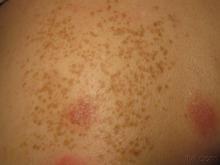 ȸ������