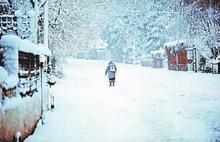 ������ݡ������ص�