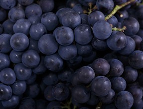 ���综���˳���Щˮ��