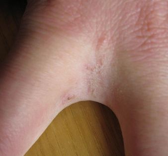 ����Ԥ���괯�����ķ���?