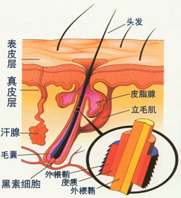 �����ѷ���ͺ֢״ͼƬ