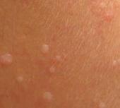 ��ƽ����ʲô