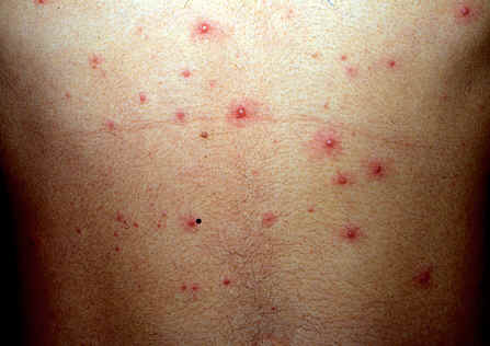 ��״�������ͼƬ