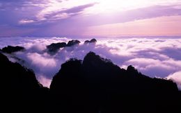 �＾���������