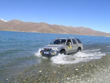 ɽ���Լ���