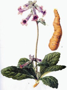 ���۲�������ƫ���ò���