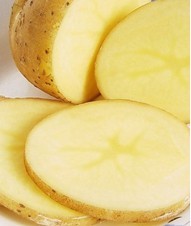 ����ʪ�����Ƶ�ƫ����֪�ĳ�ʶ