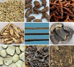 ����ţƤѢ��ƫ��Ч������