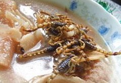 Æ«·½ÖÎÁÆðЧ¹ûºÃÂð