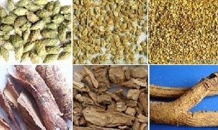 ����Ѣ��ƫ����û����