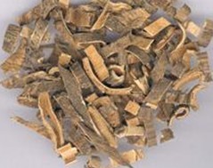 ���ǿ�����Ѣ������ƫ��