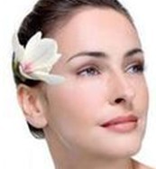 ���������Ļ���