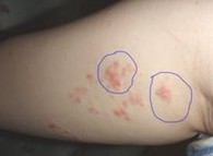 ţƤѢ��ʲôΣ���أ�