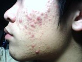 ��Ҫ����ʮ����ĺ�ϰ�ߣ�