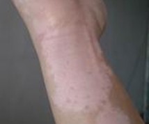 ���԰���ķ�����