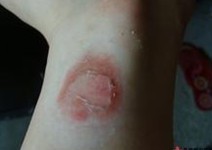 ţƤѢ��֮�Ժ�����ұ���