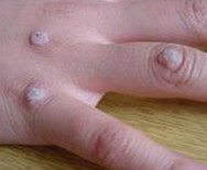 Ѱ��������Щ���ּ������ϣ�