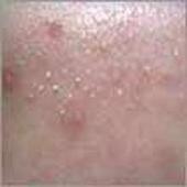 �ഺ���������ƱȽϺ�