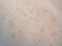 ţƤѢ�ķ�������