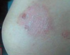 �и�ţƤѢ��������