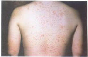 ţƤѢ���Ŵ�����