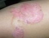 ţƤѢ������������Ч����