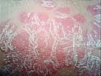 ţƤѢȥ�����������