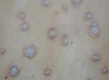 ţƤѢ��������