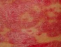 ˭������ţƤѢ��Ⱦ��