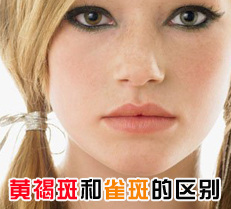 �ƺְߺ�ȸ�ߵ�����