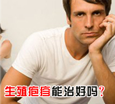 ��ֳ�������κ���