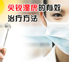 ����ʪ�����Ч���Ʒ���