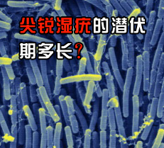 ����ʪ���Ǳ���ڶ೤